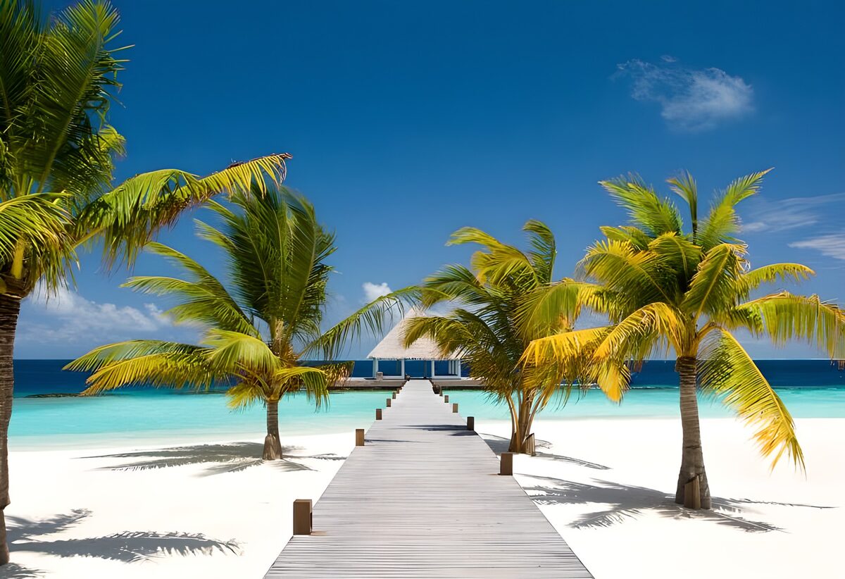 Palm-lined boardwalk to turquoise shallows