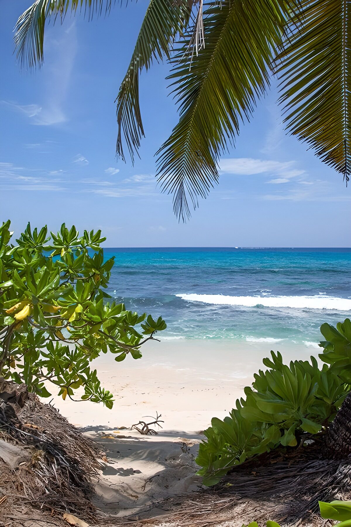 Sandy path to a secluded tropical beach