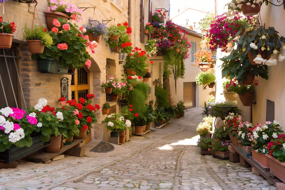 Sunlit alley lined with flowerpots