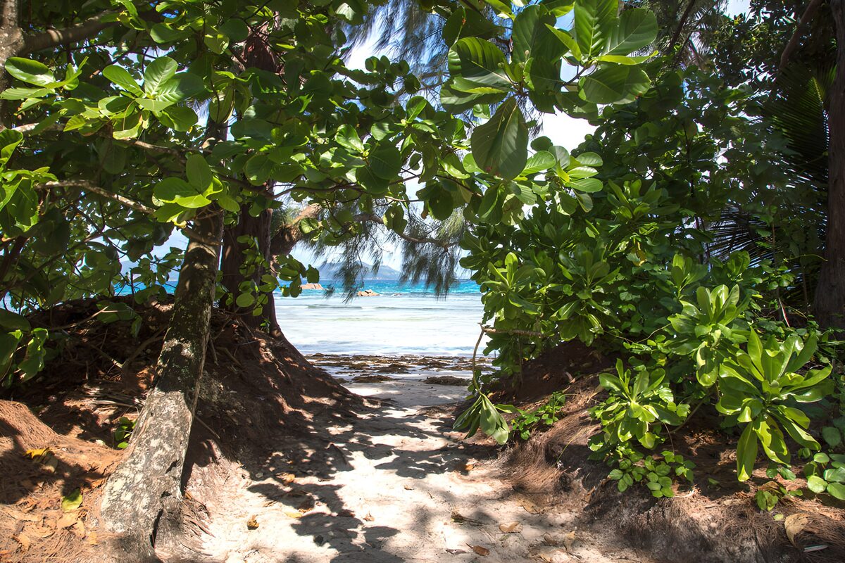 Shaded sandy path to a turquoise sea