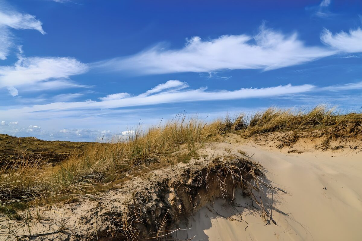 Grassy dunes beneath a sweeping blue sky