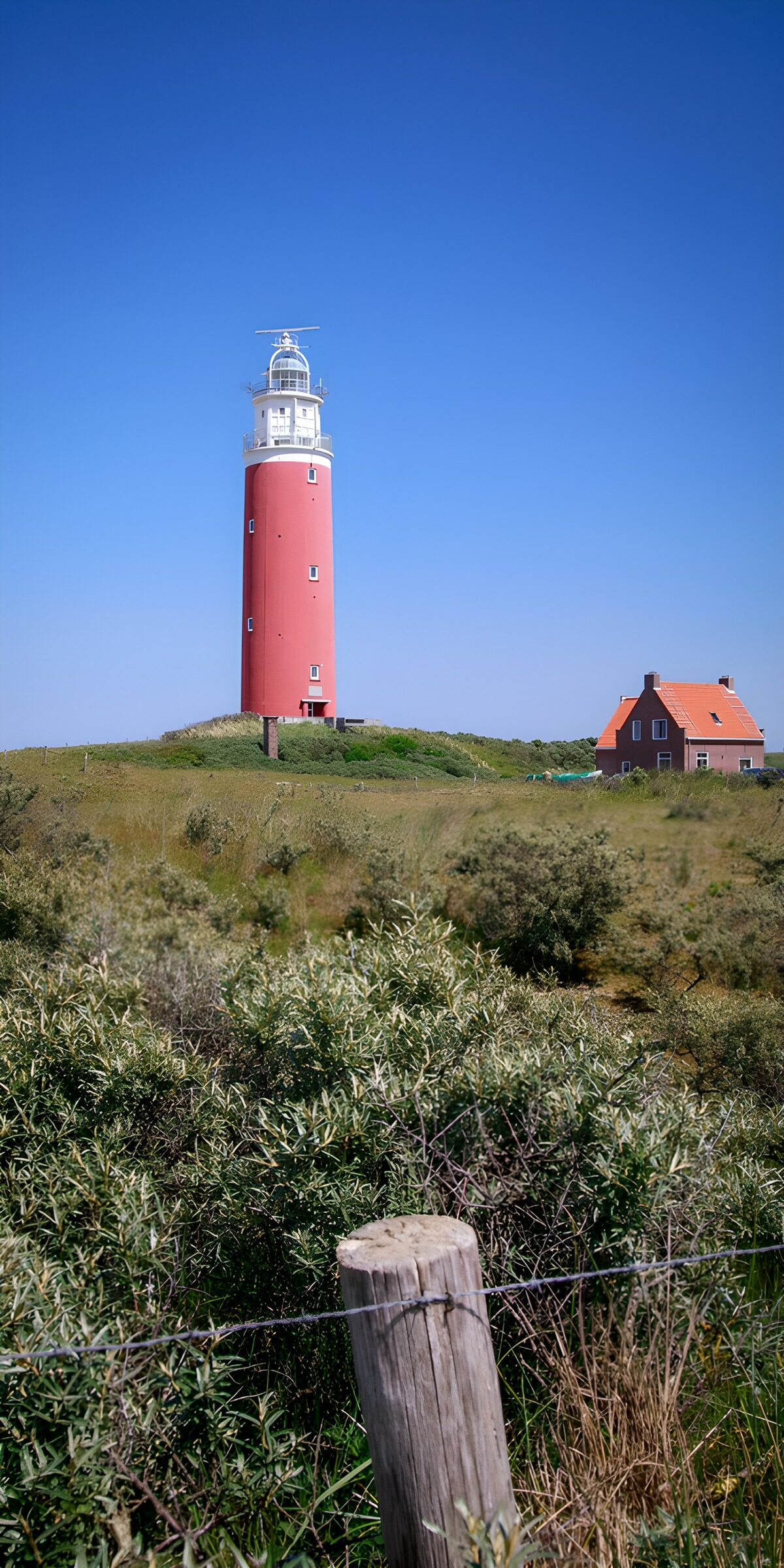 Red-and-white lighthouse above grassy dunes