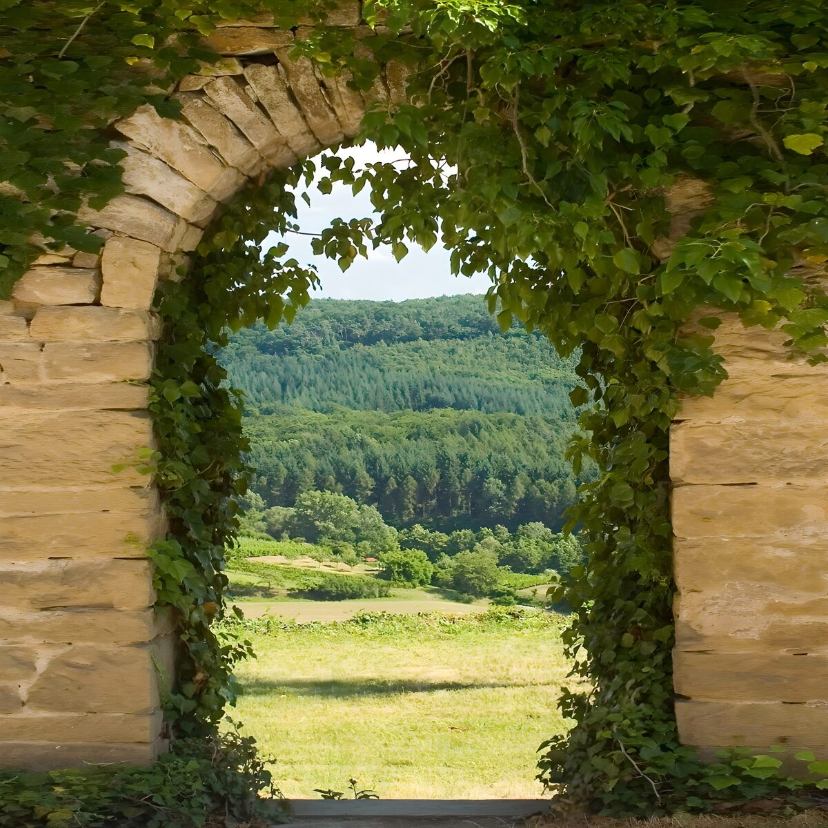 Stone arch overlooking a sunlit meadow