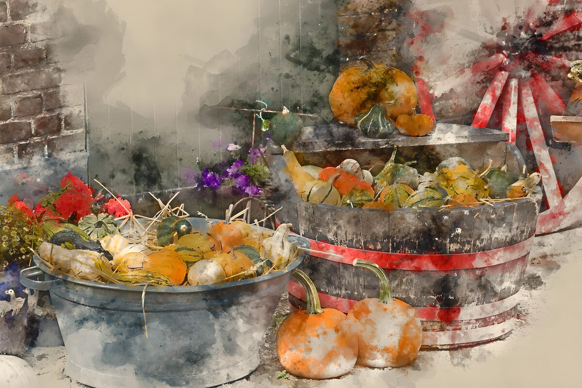Pumpkins and gourds in autumn colours