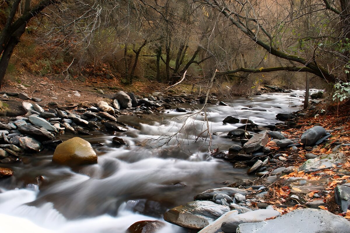 Autumn stream over woodland rocks