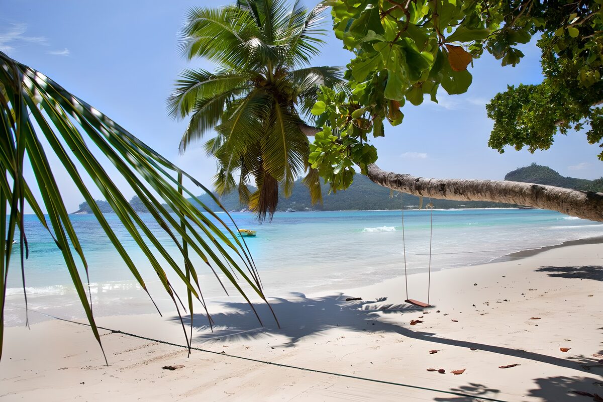 Where palm shadows meet turquoise water