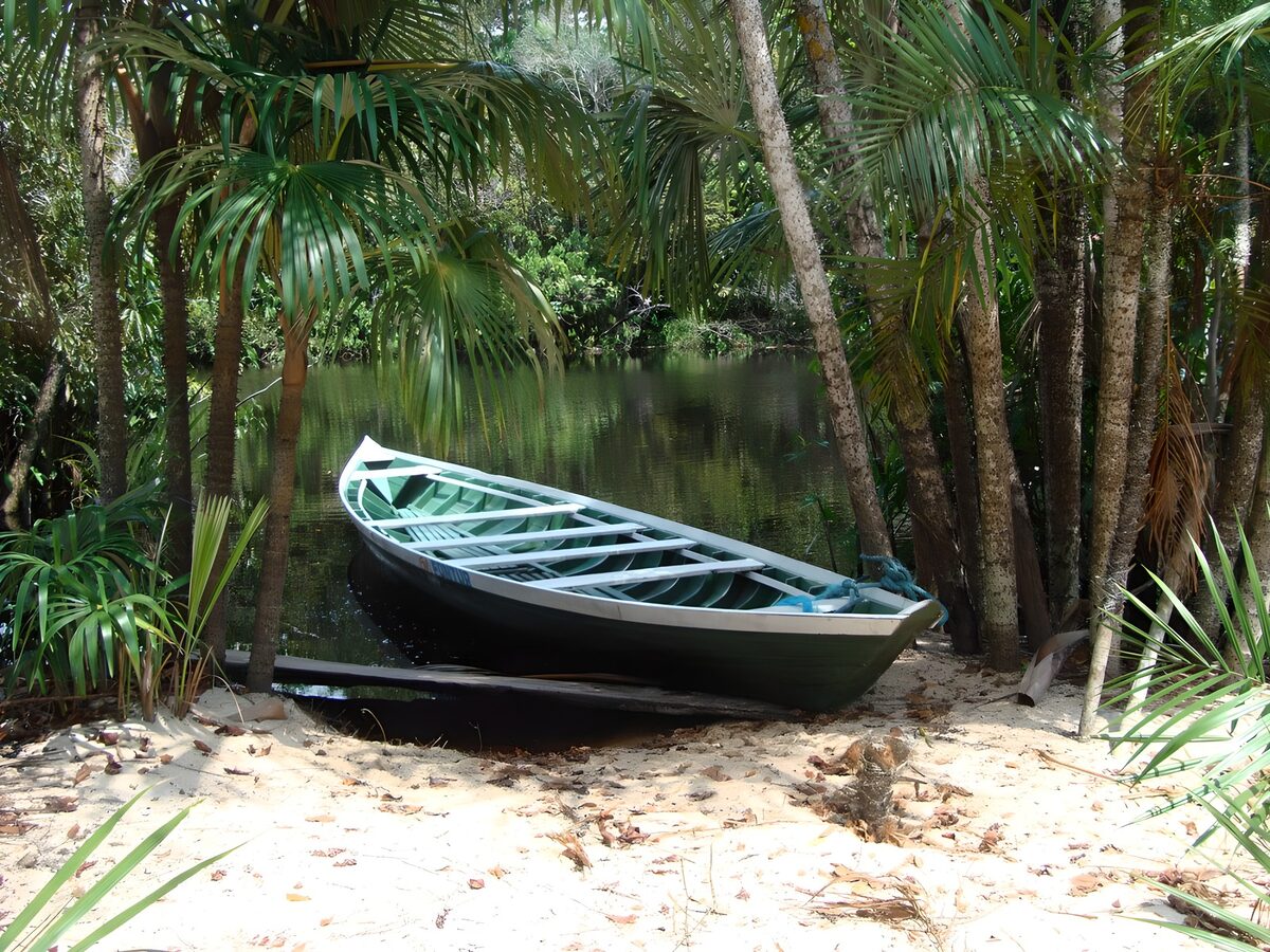 Green boat on a palm-shaded bank