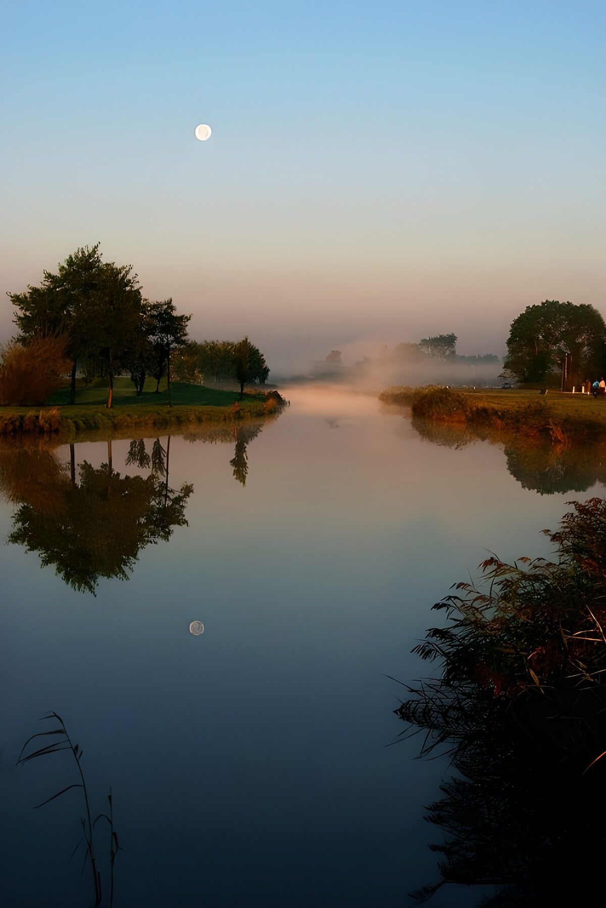 Still water between grassy banks