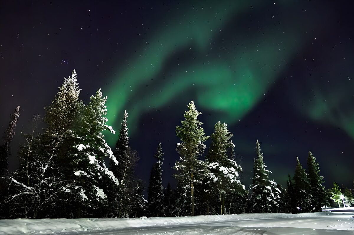 Northern lights over a silent snowy forest