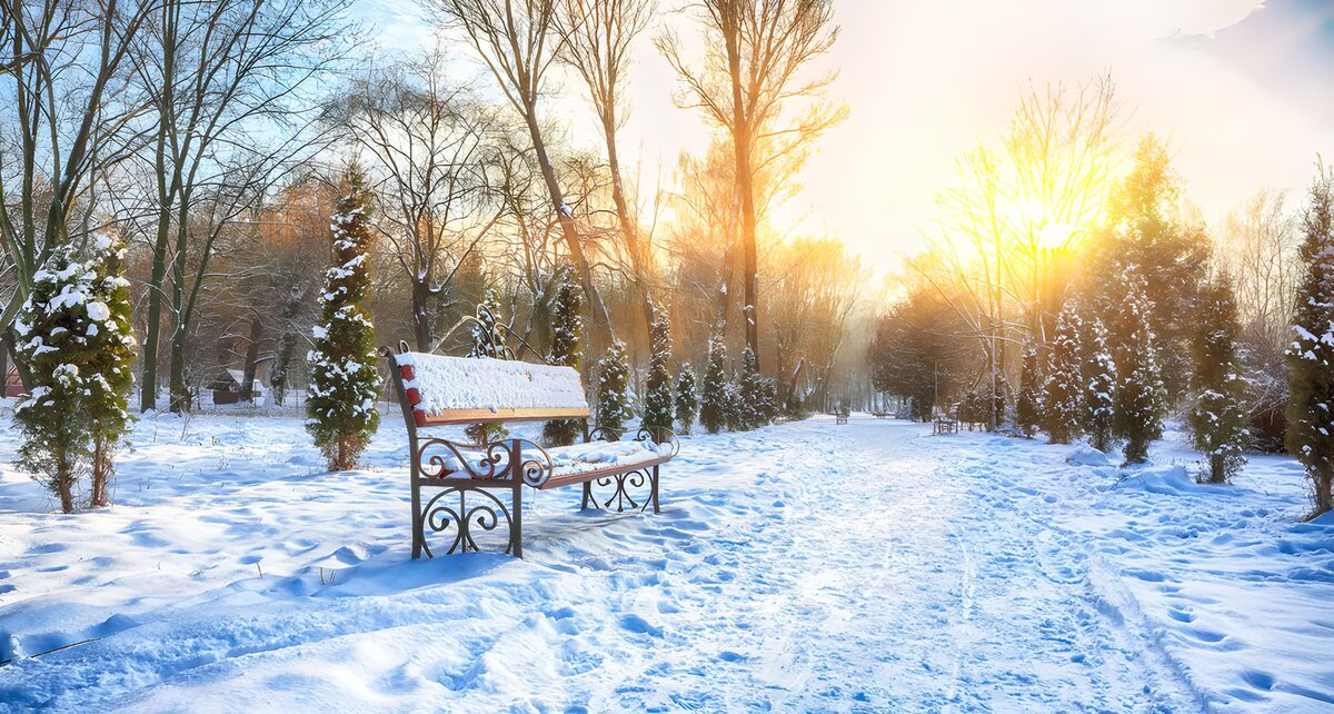 Snowy park bench in low winter sun