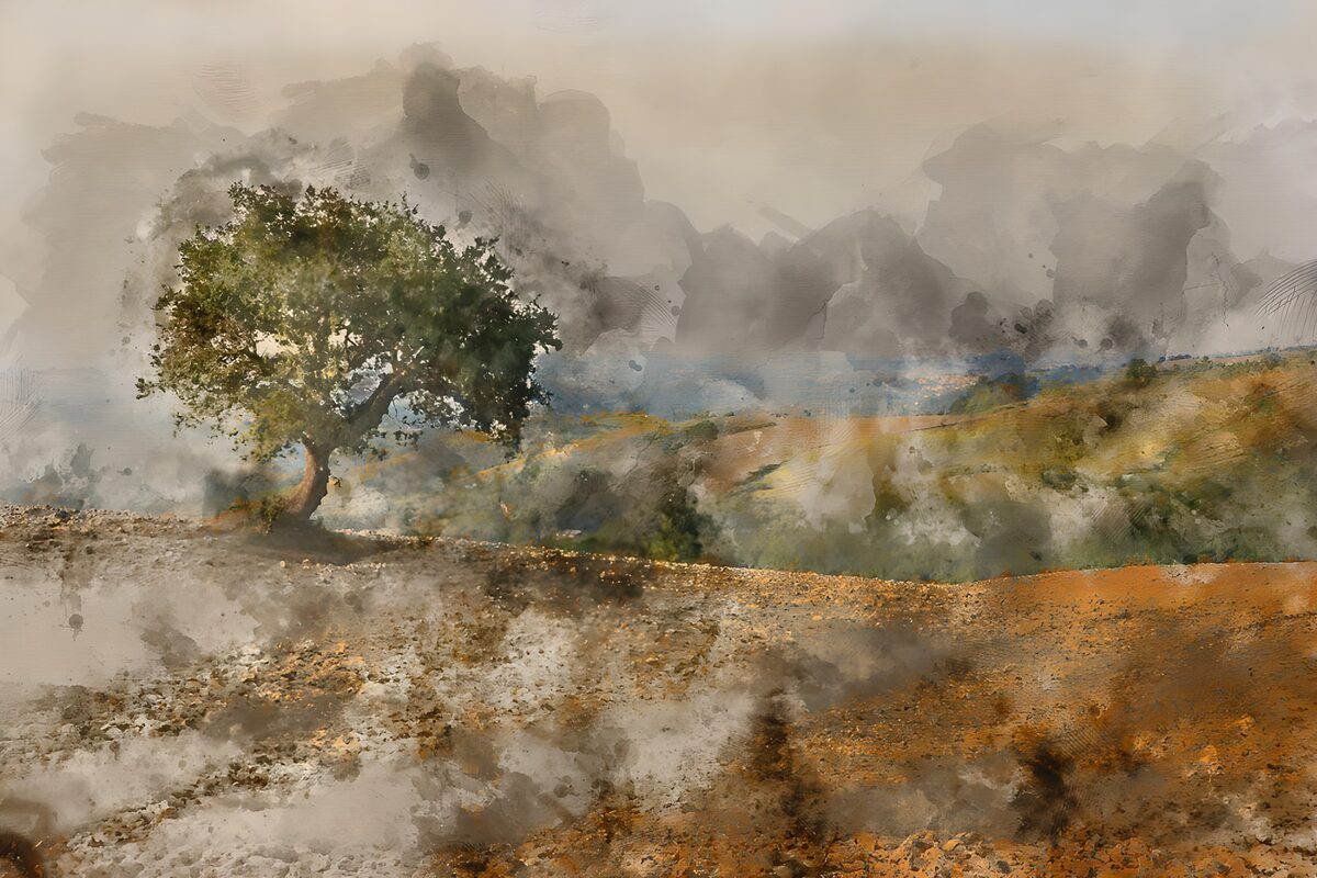 Lone tree on ochre ground