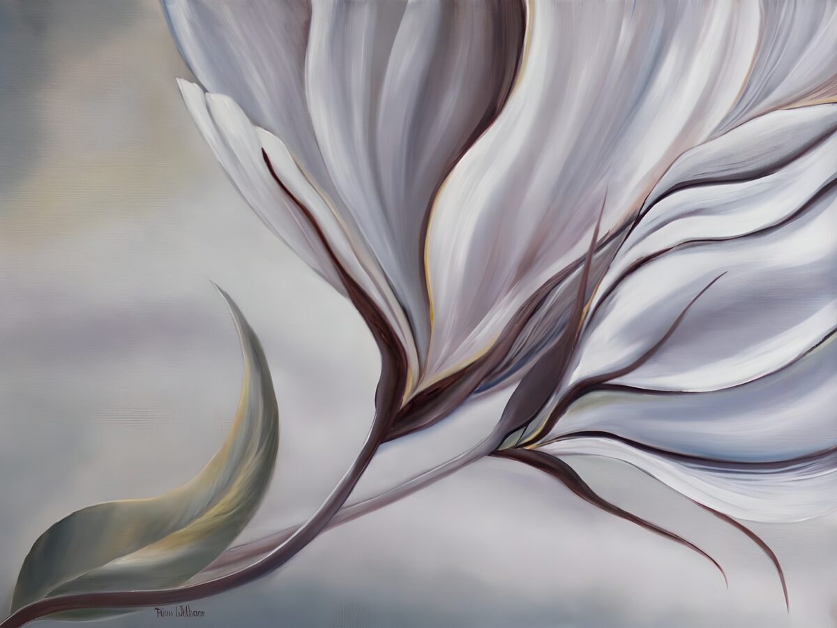 White and mauve flower in soft folds