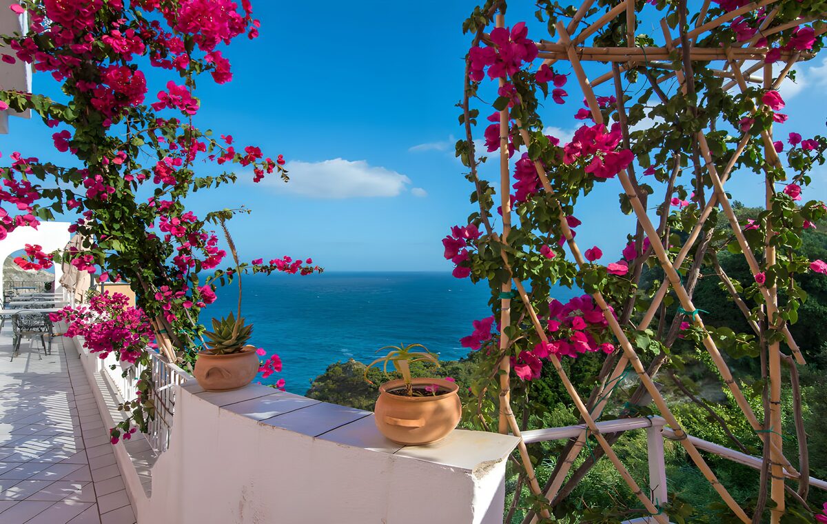 Sunlit terrace with pink bougainvillea