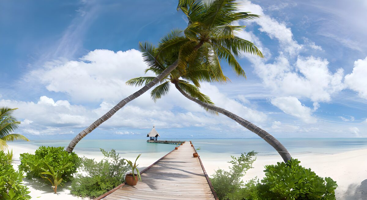 Palm-lined jetty over turquoise water