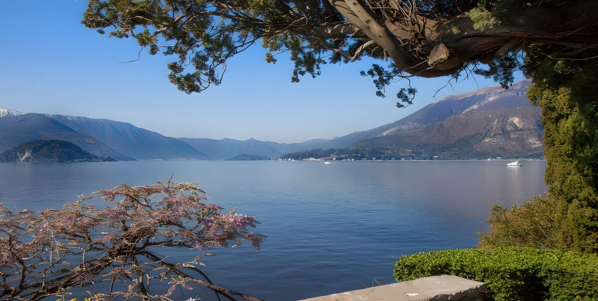 Mountain lake beneath leafy branches