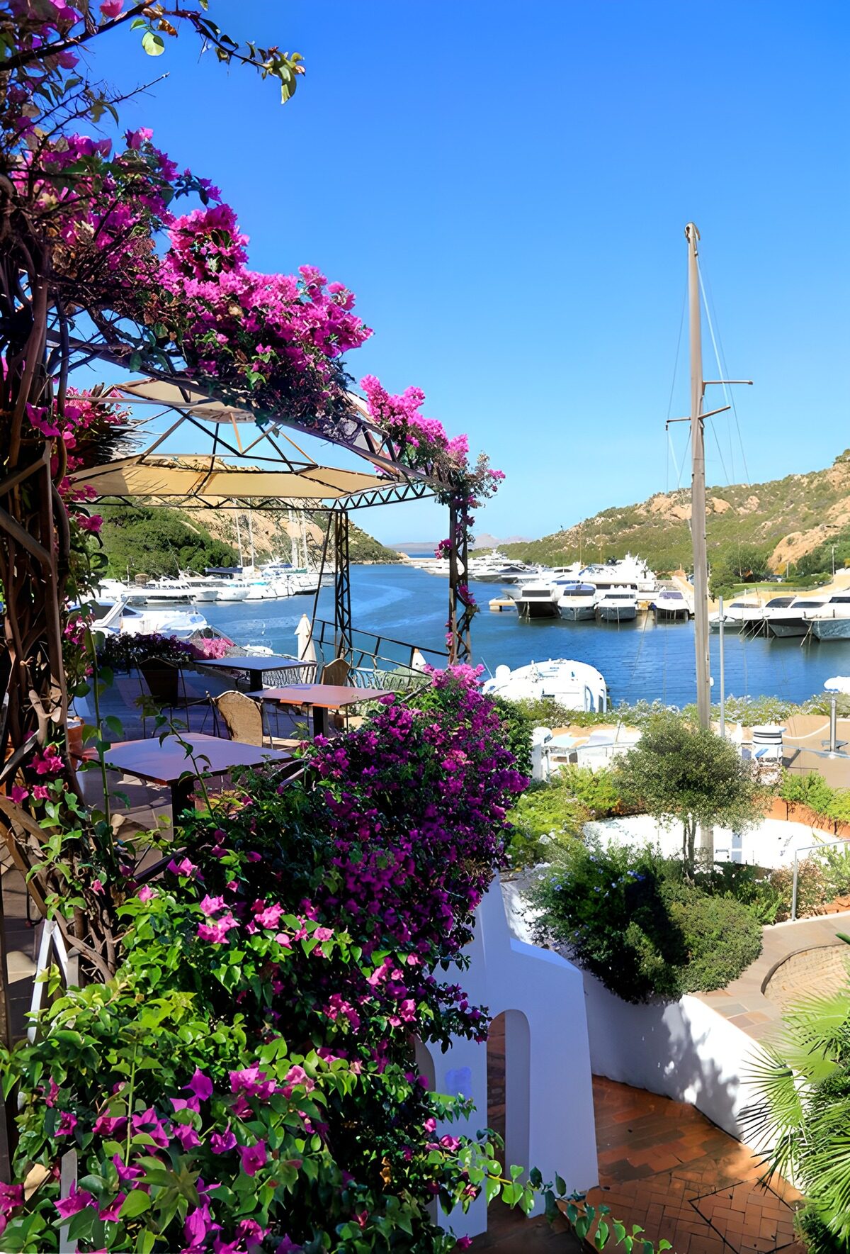 Sunlit terrace above the marina