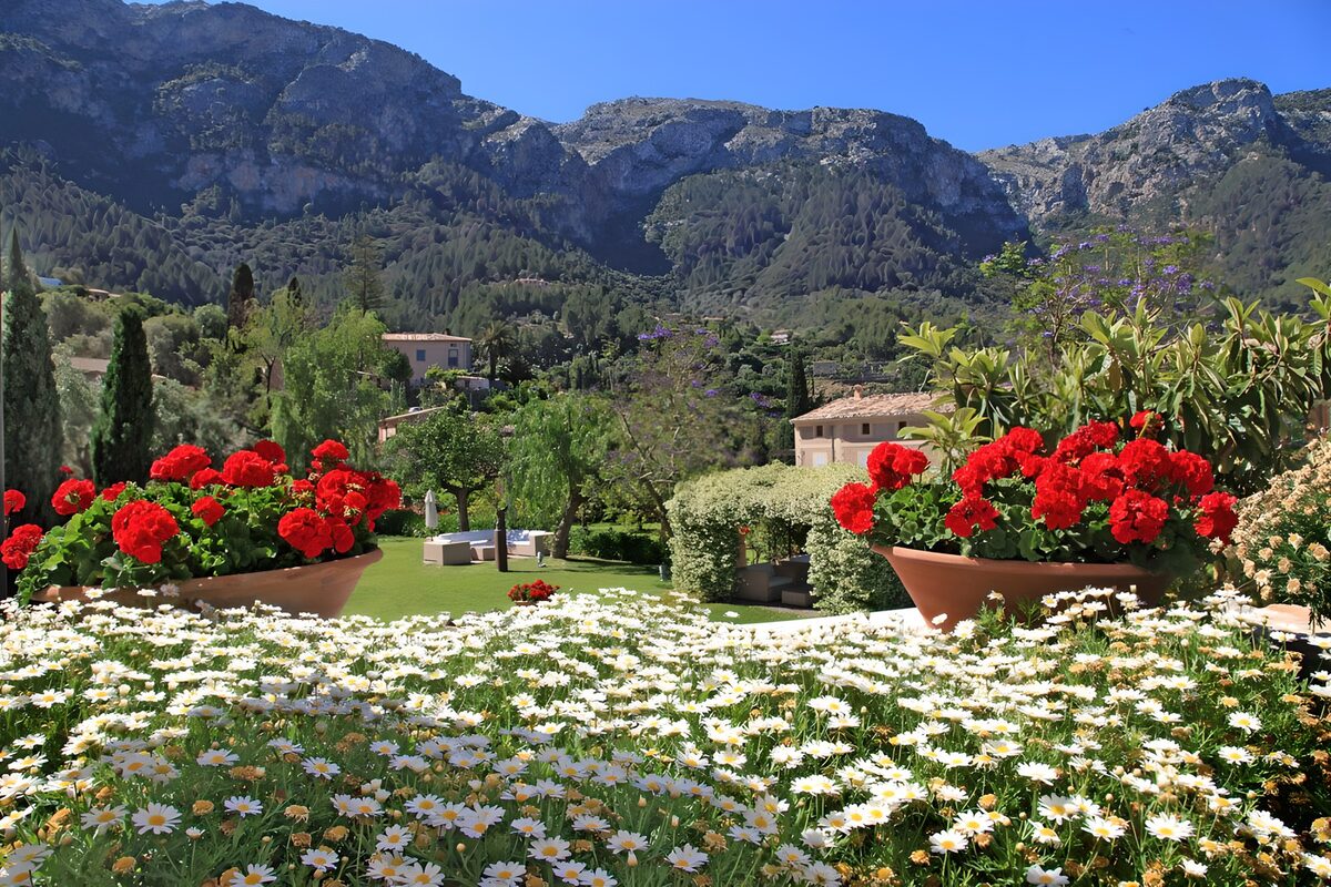 Sunlit flower garden beneath the mountains