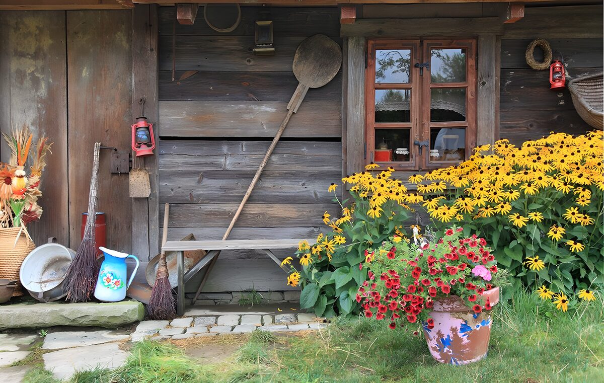 Summer blooms against timeworn timber