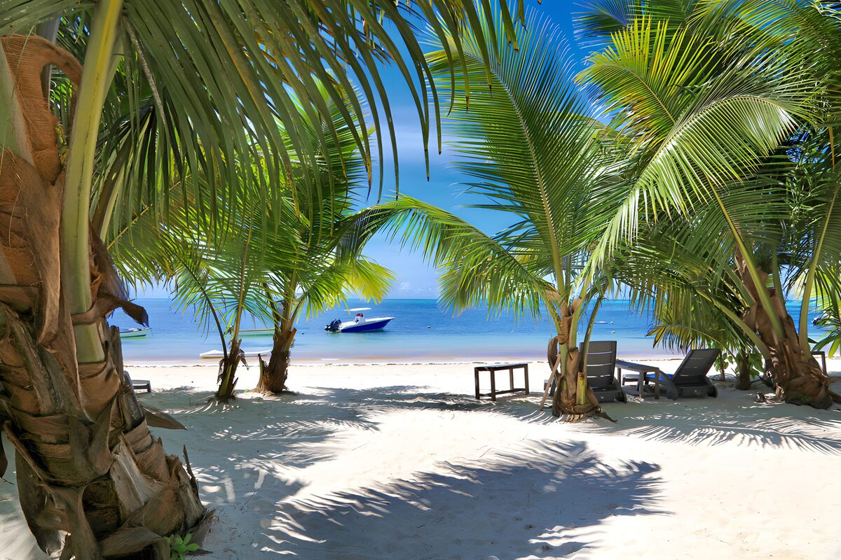 Palm-shaded beach and turquoise sea