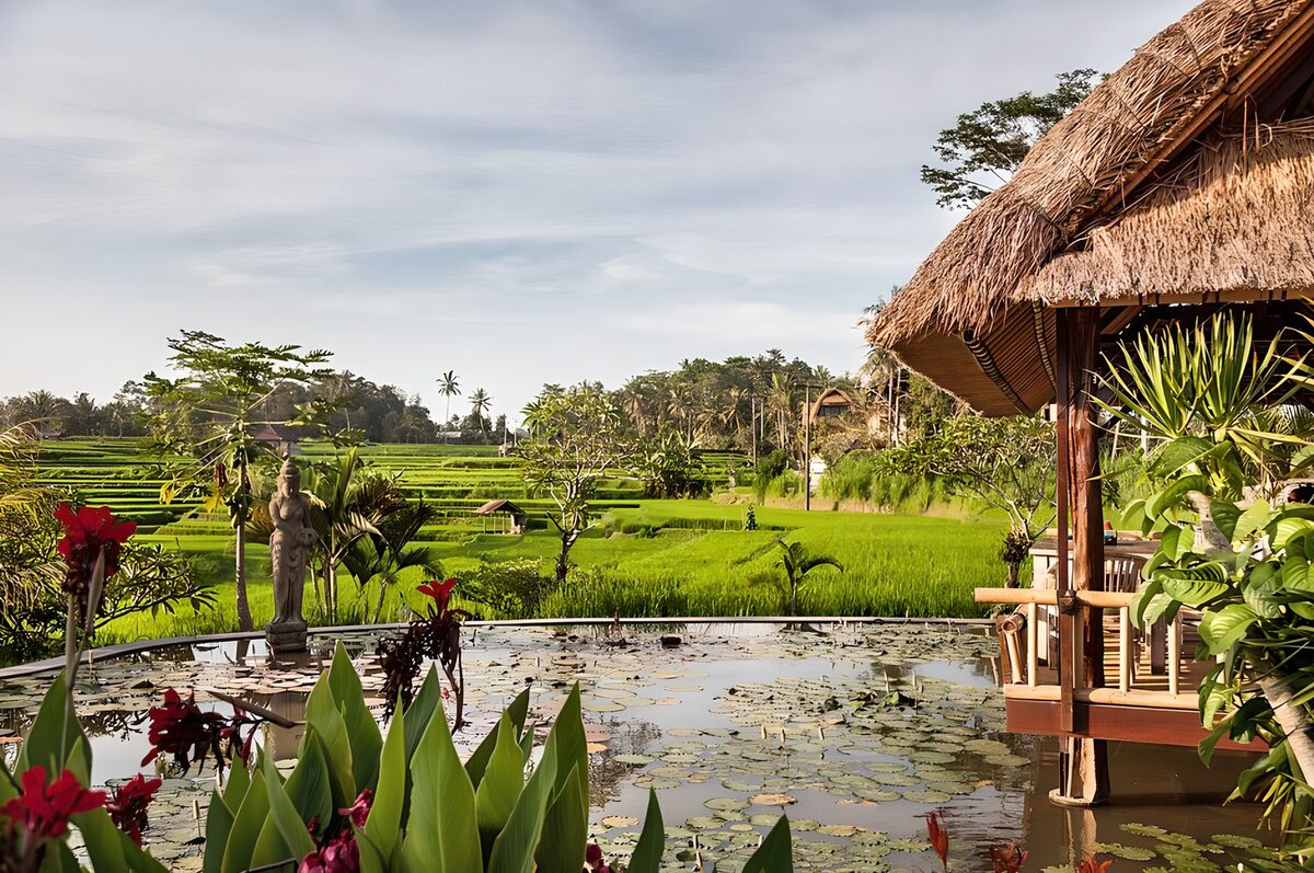 Sunlit pond beside a thatched pavilion