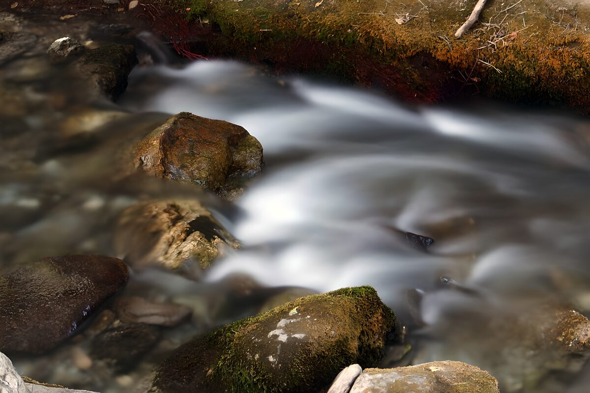Stream flowing around mossy boulders