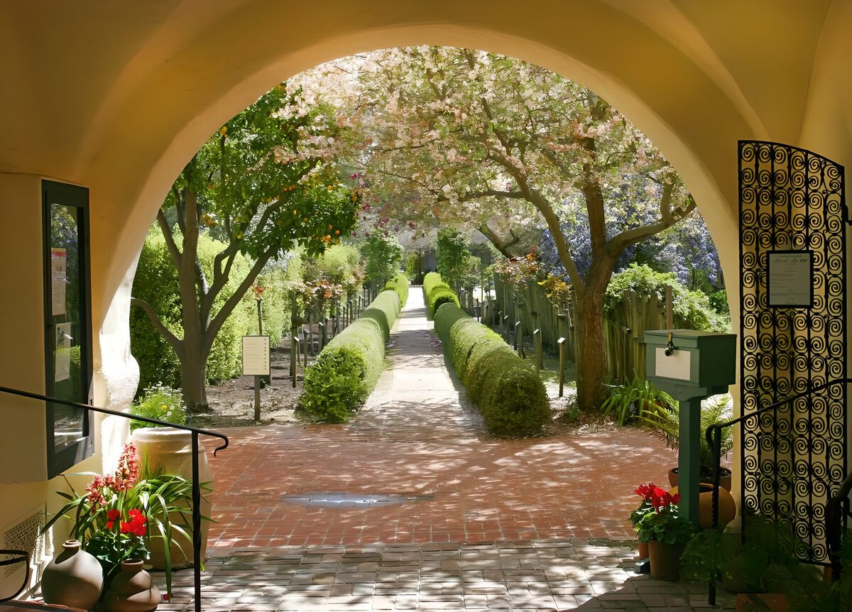 Cream arch and sunlit garden path