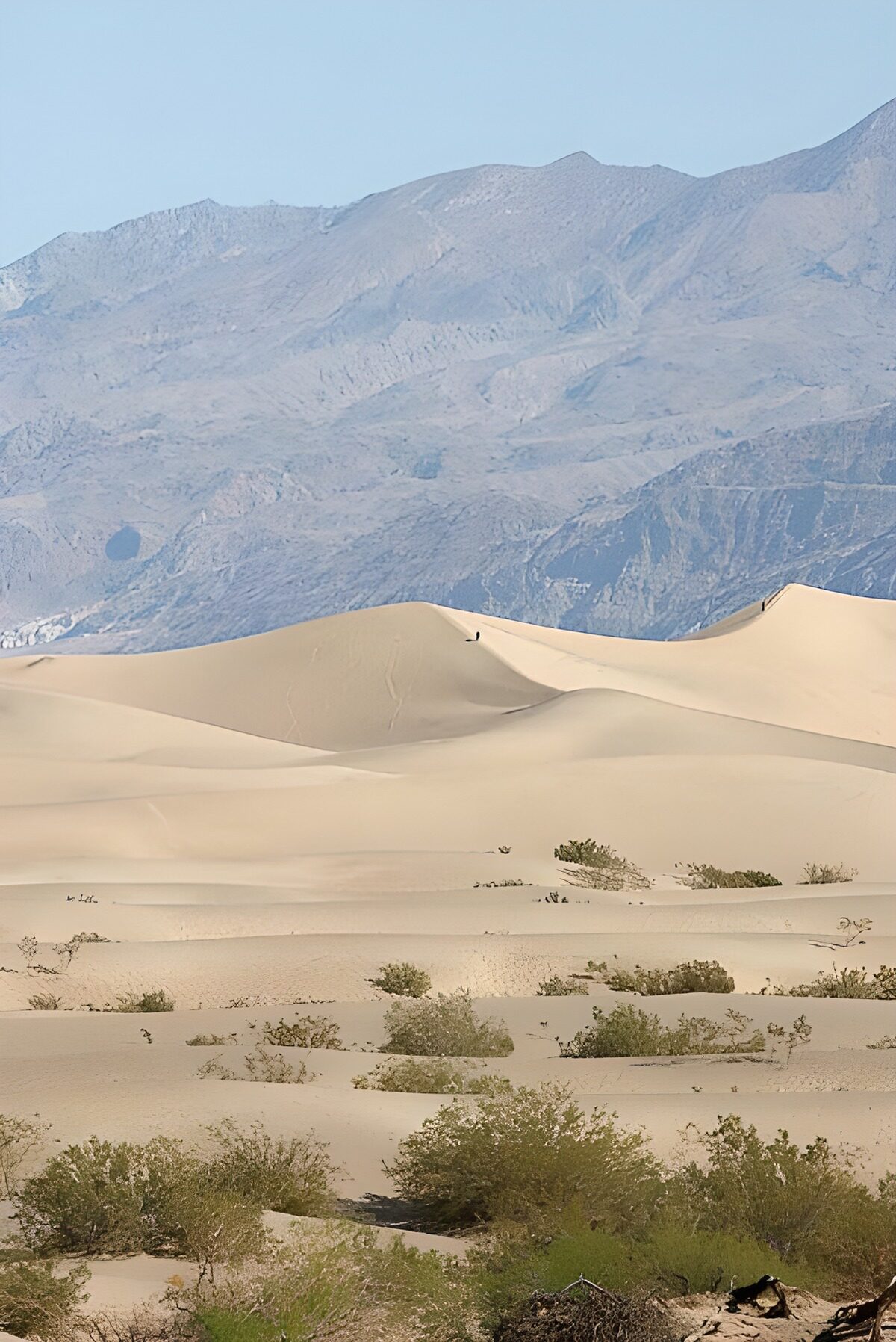 Sunlit dunes beneath rugged mountains