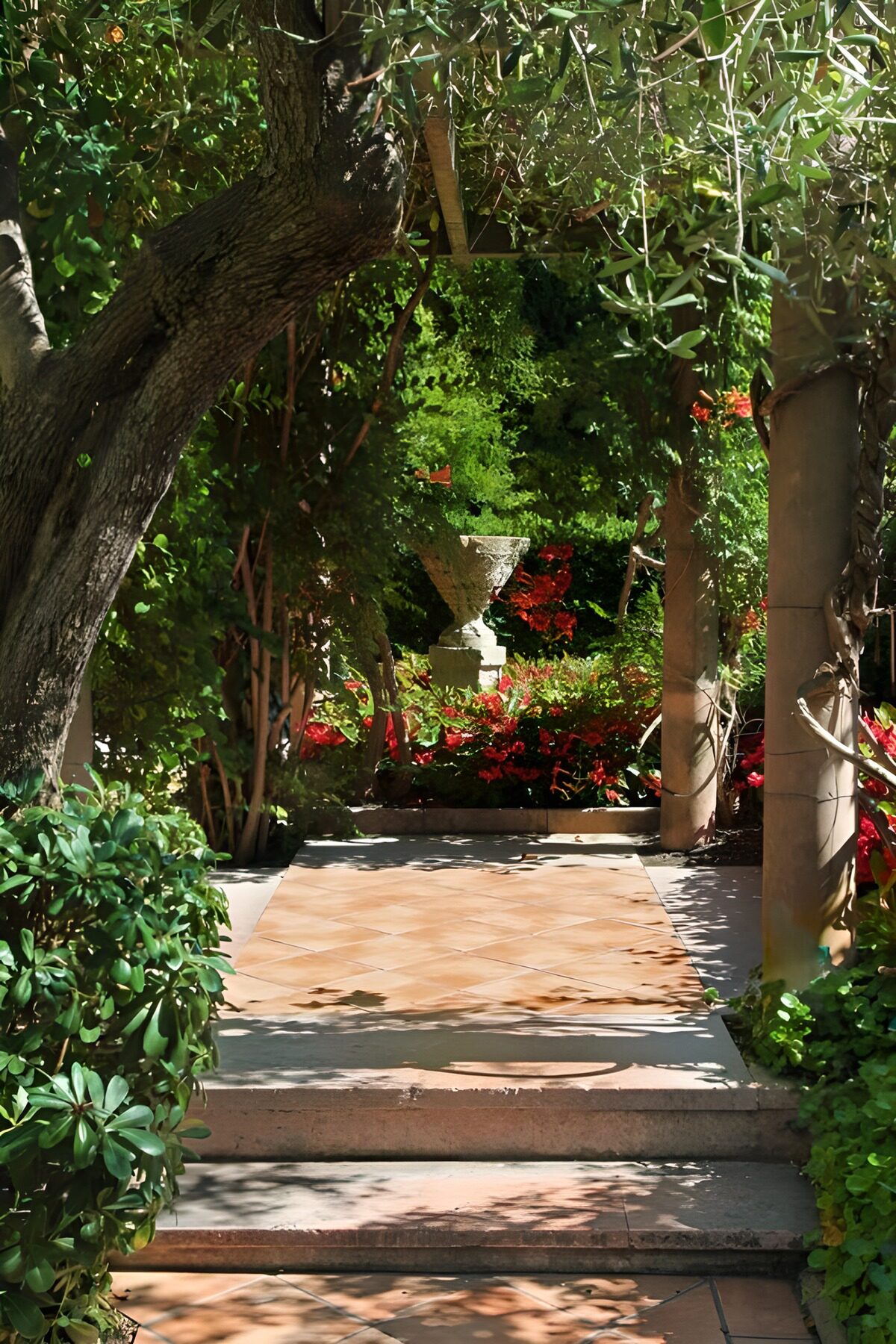 Shaded garden steps and terracotta tiles