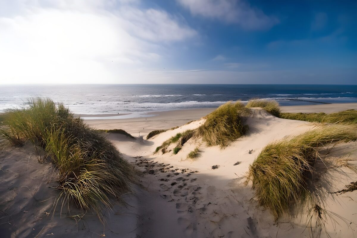 Sunlit dune path to the sea
