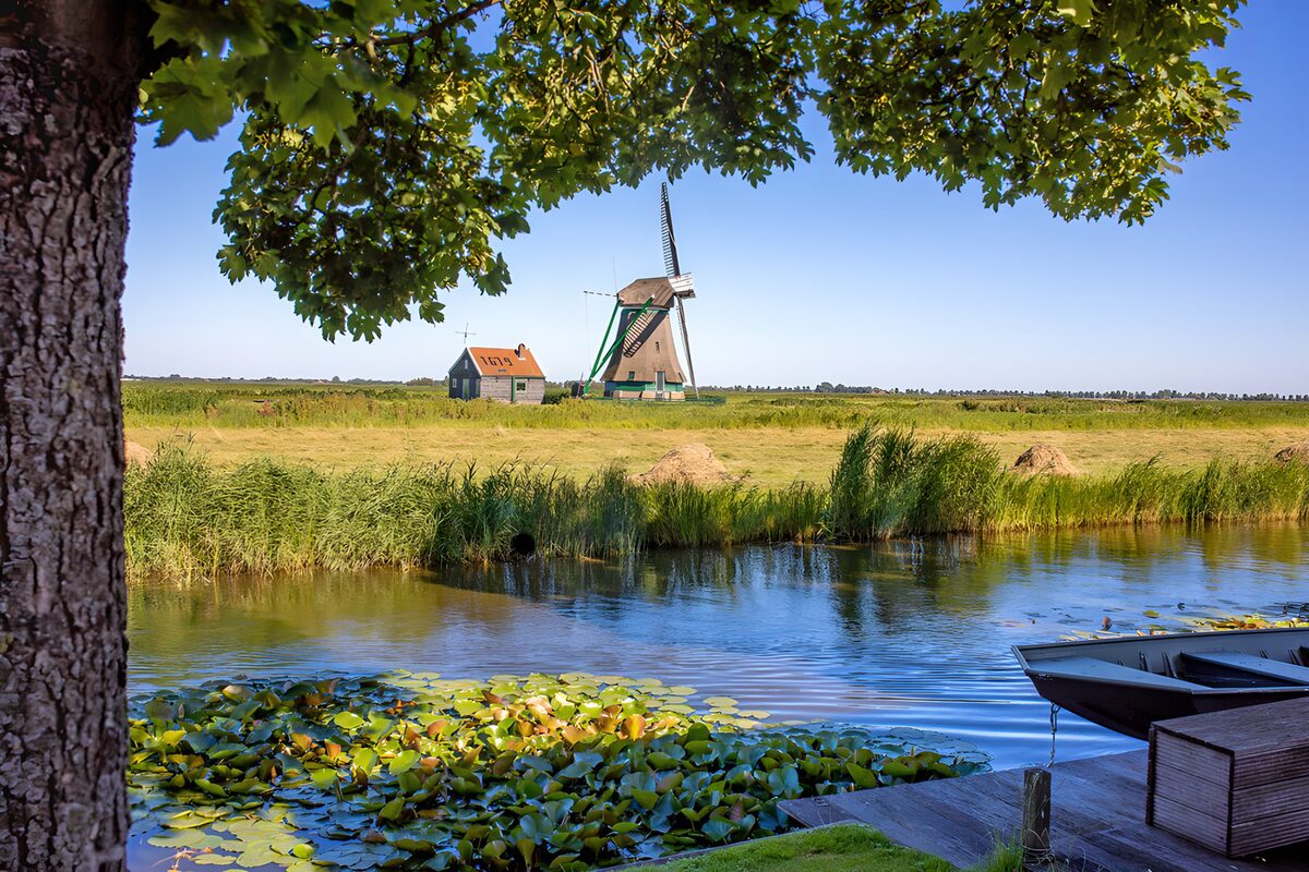 Windmill and water lilies in summer