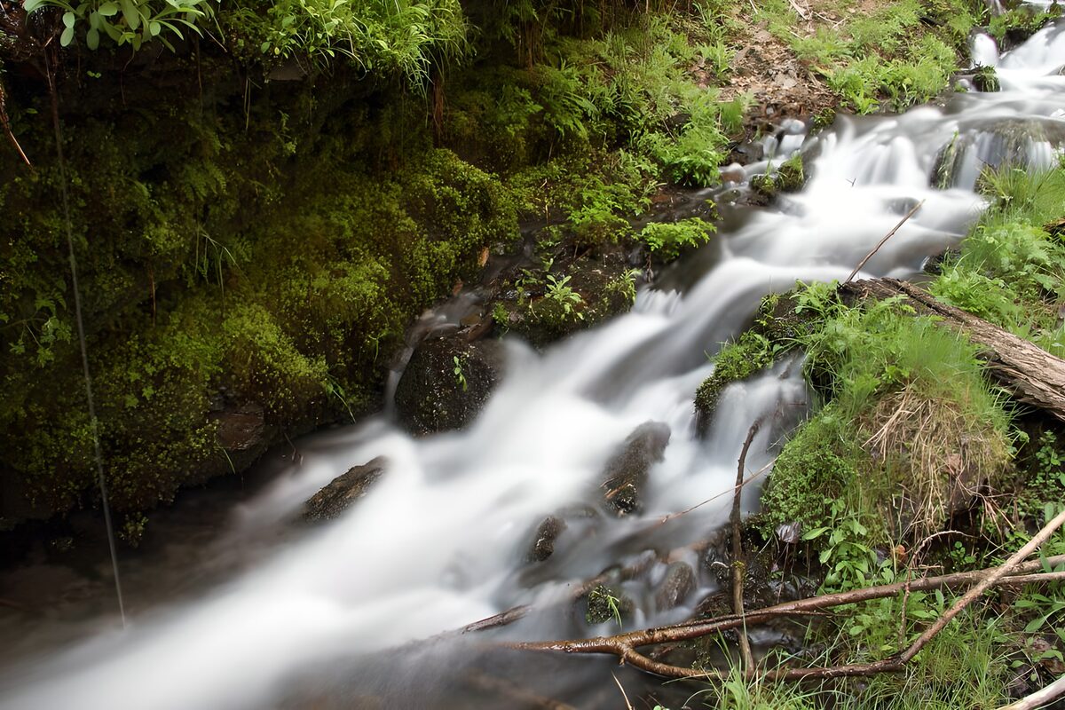 Rocky stream beneath lush green banks