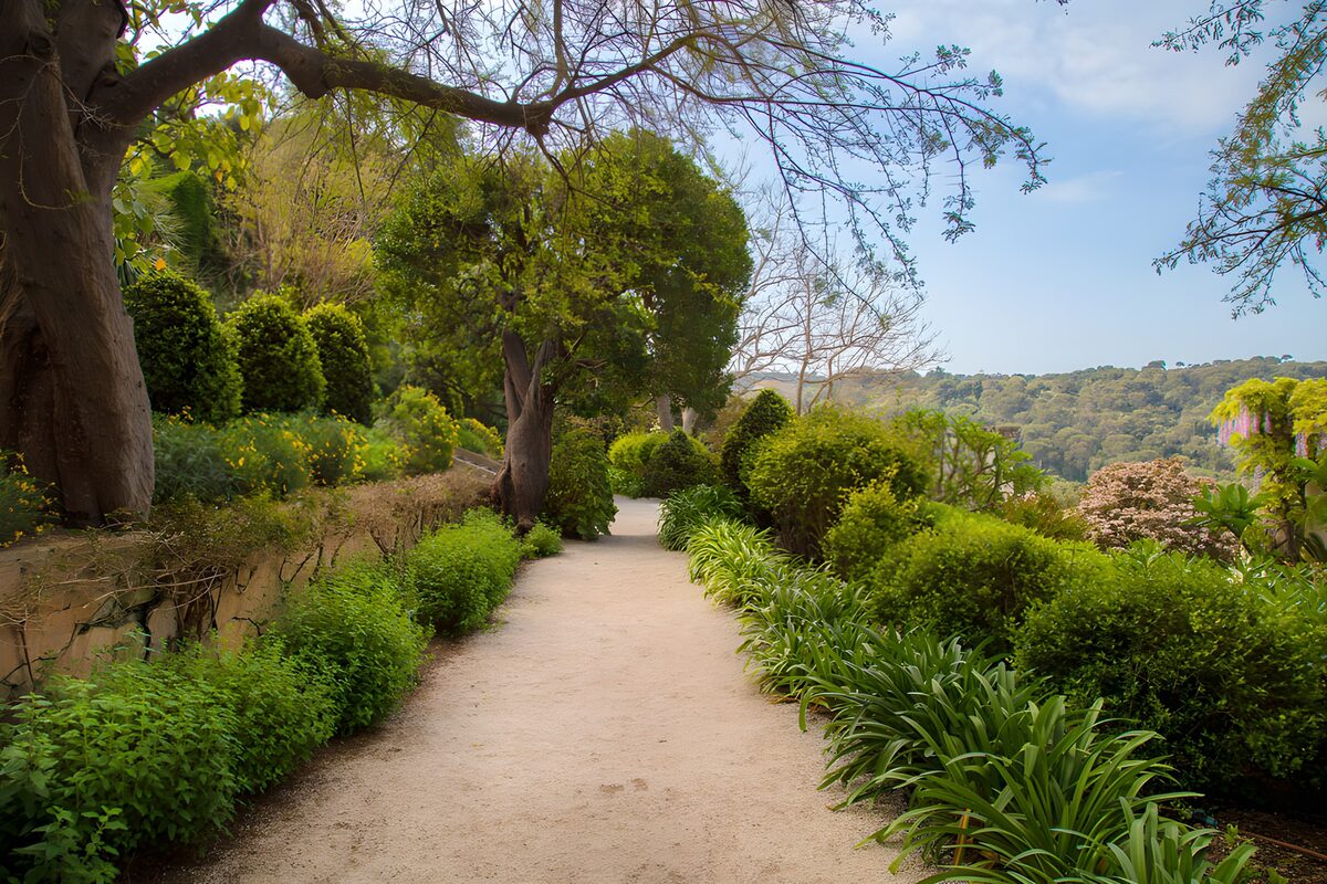 Gravel path through a quiet green garden