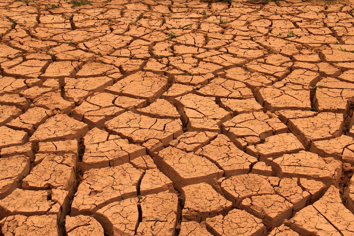 Sunlit cracks in orange-brown earth