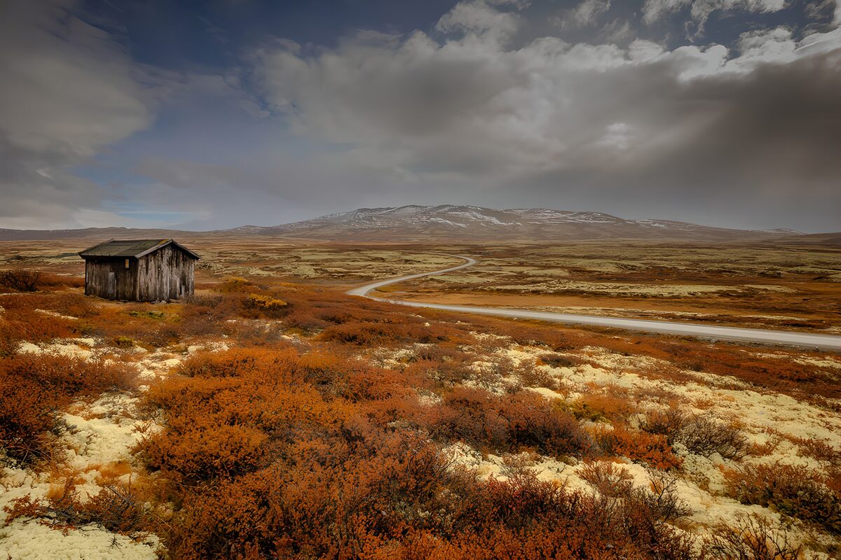 Weathered shed beside a winding road