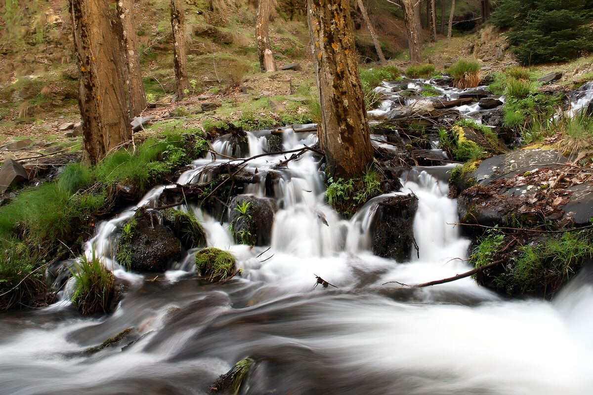 Woodland stream over dark, mossy rocks