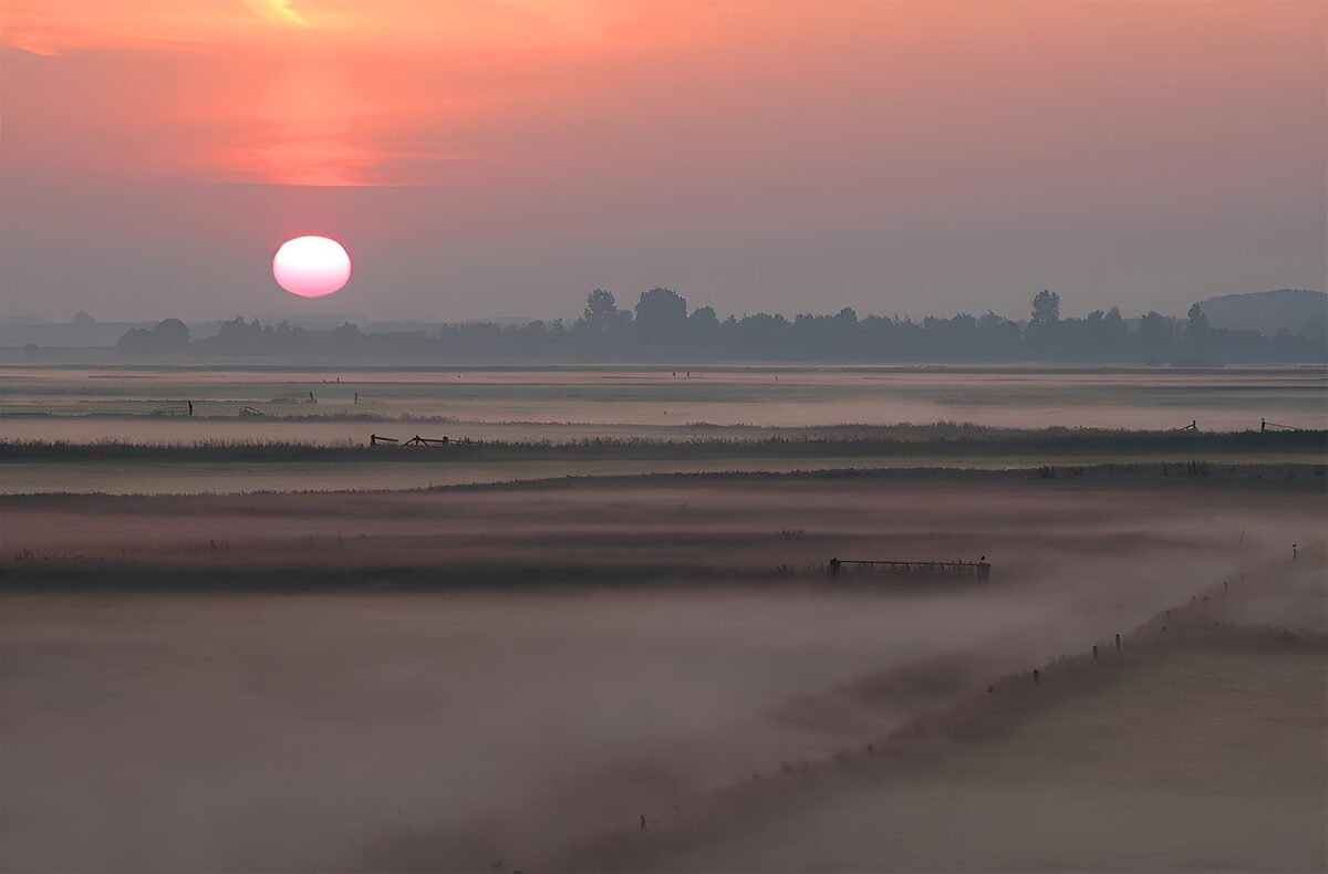 Sunrise over misty fields