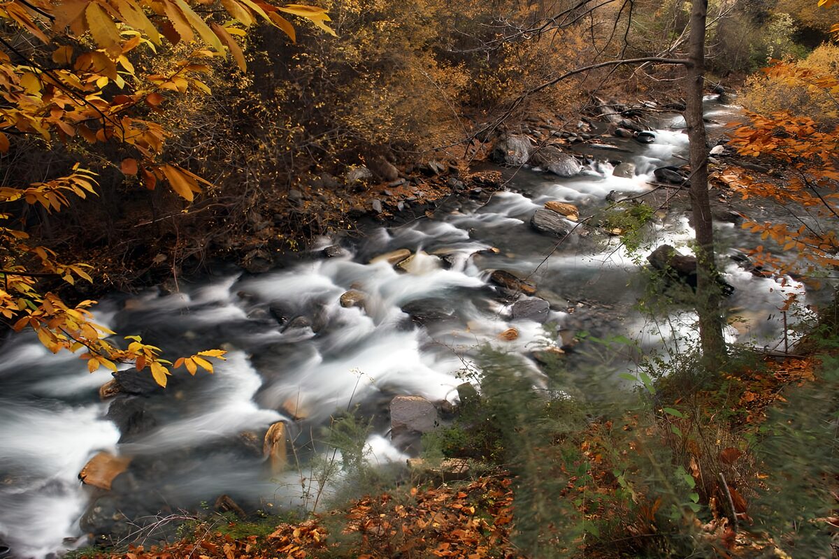 Rocky stream in autumn woodland