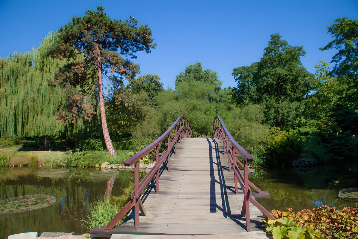 A bridge into the summer green