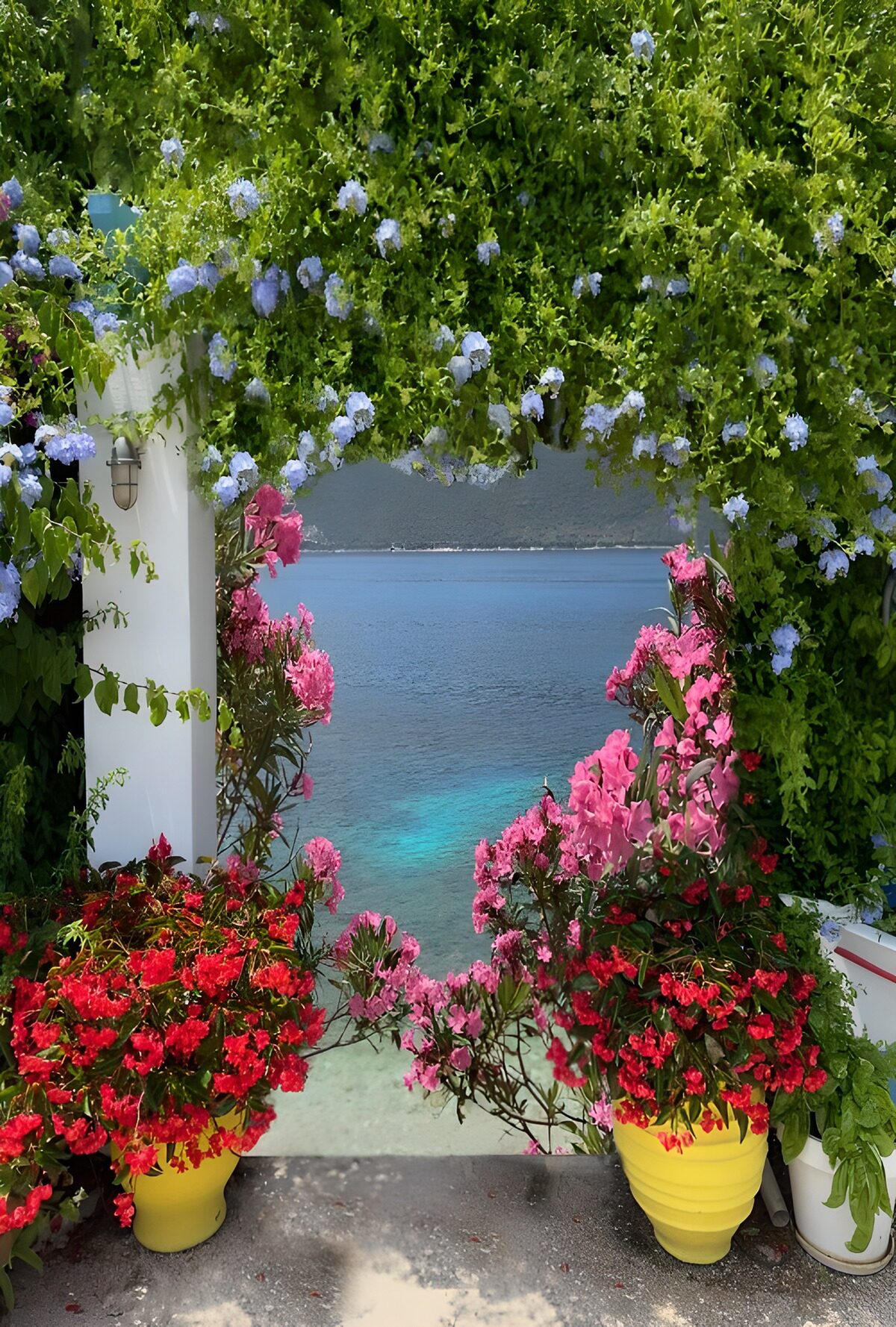 A summer sea view framed by flowers