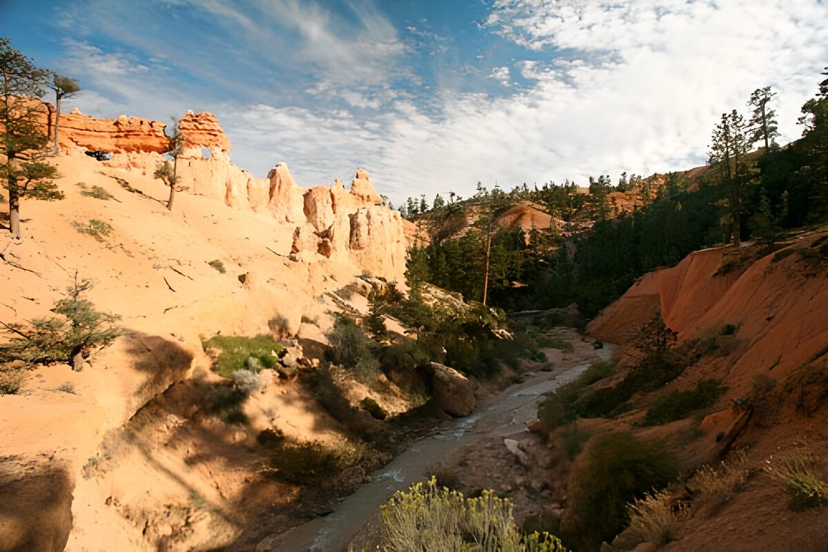 Winding creek beneath sunlit red cliffs