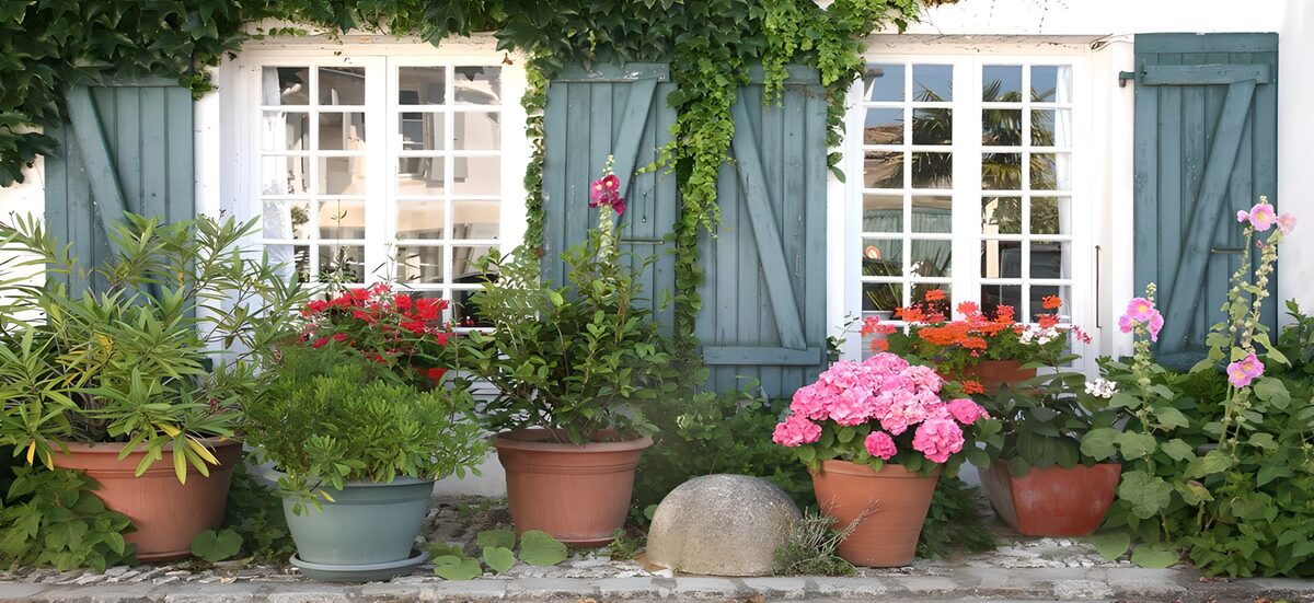 Flower-filled pots beneath blue-green shutters