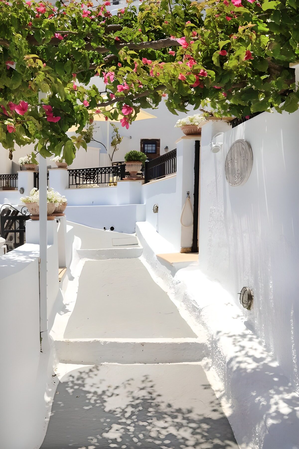 Sunlit white steps and pink bougainvillea