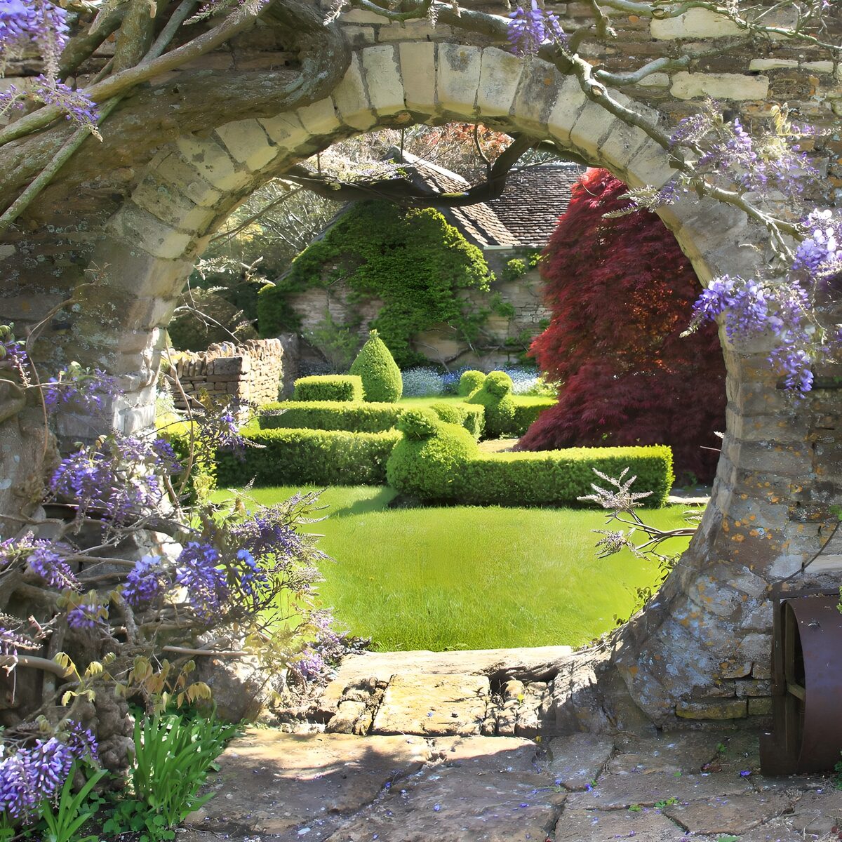 Wisteria arch and sunlit topiary