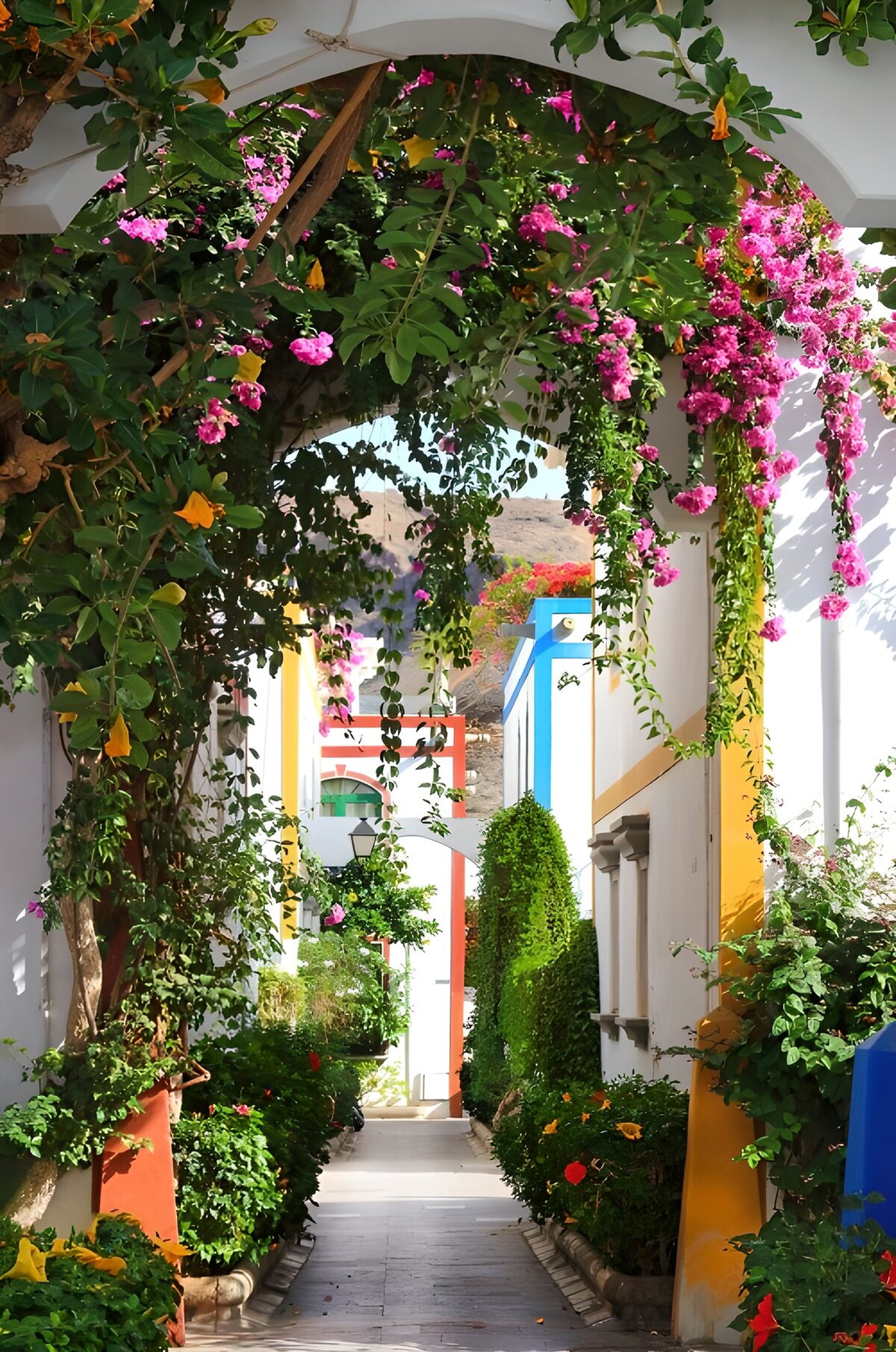 Sunlit lane beneath a flower-covered arch