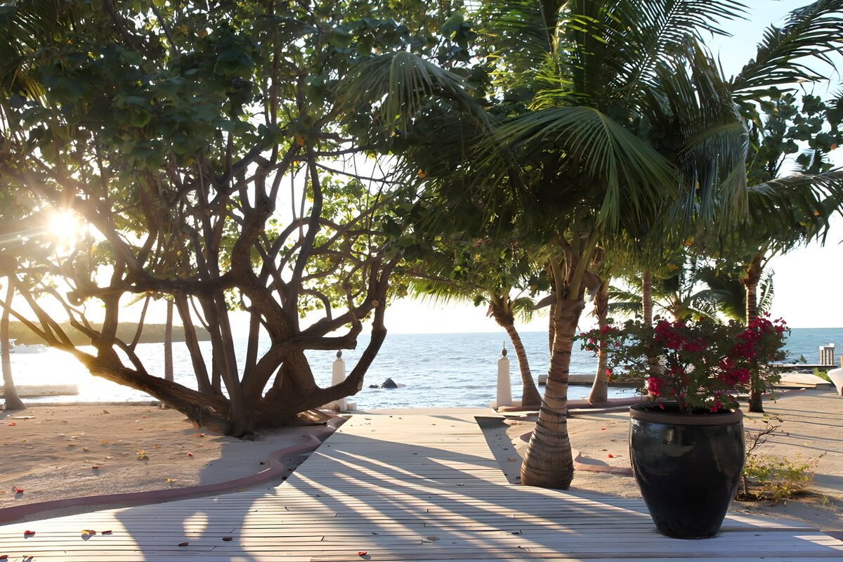 Palm-lined boardwalk in warm sunlight