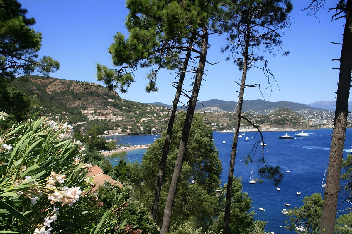 Blue bay and boats beneath the pines