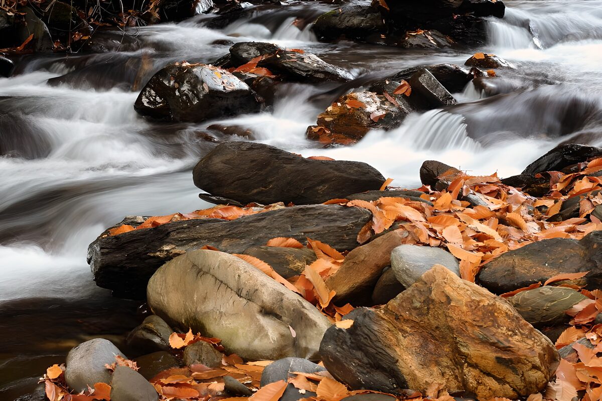 Autumn stream tumbling over dark rocks