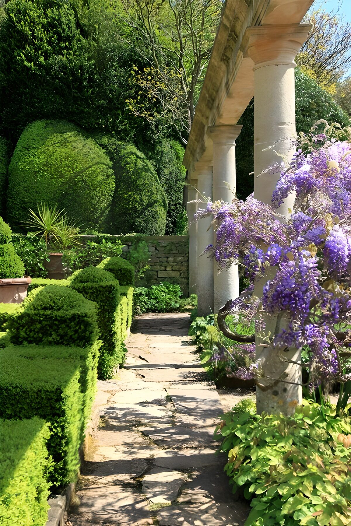 Sunlit garden path with purple flowers