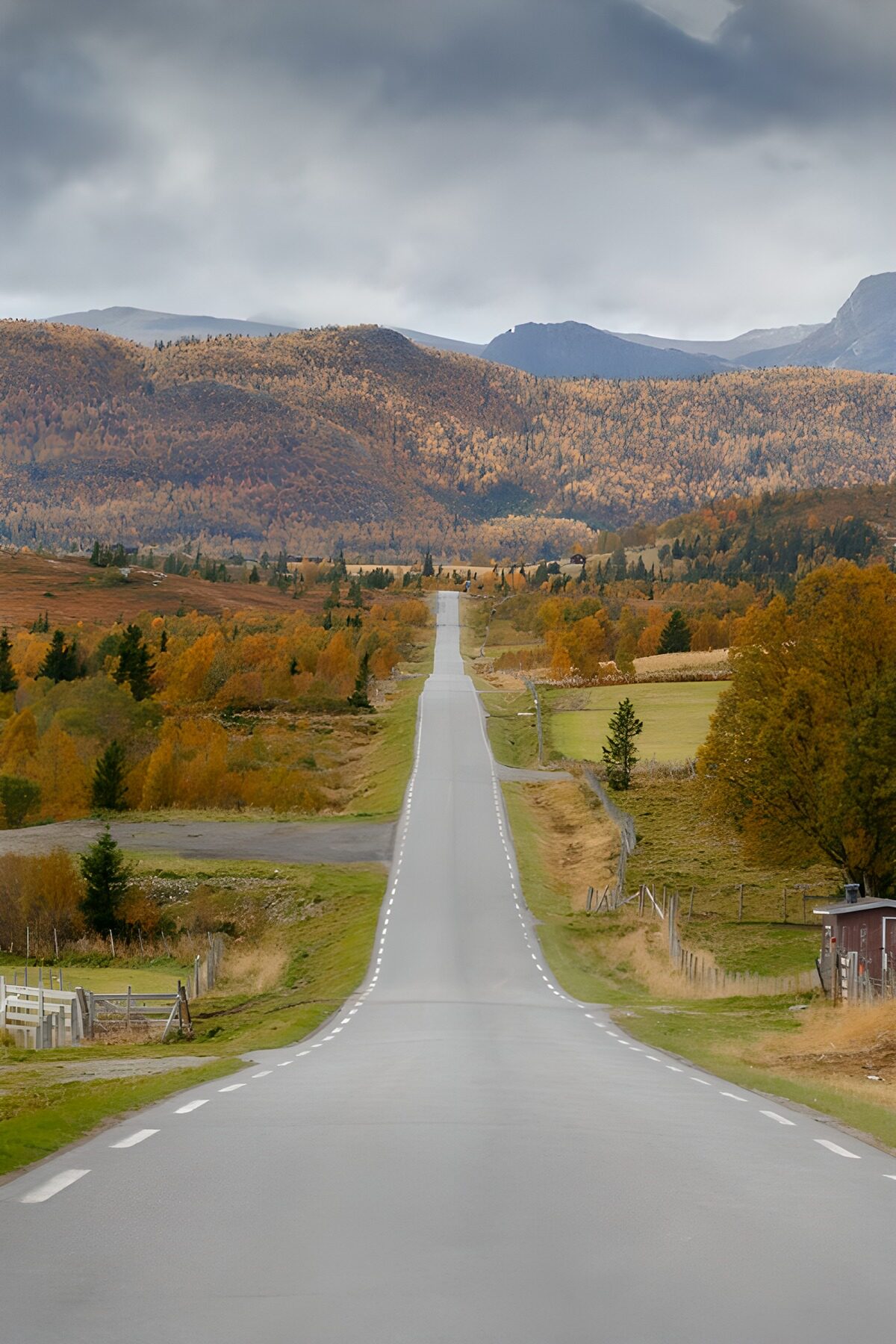 Quiet straight road through autumn hills