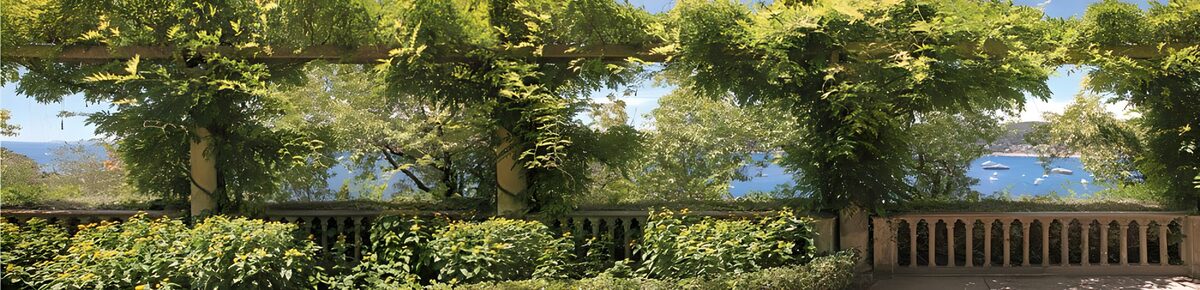 Leafy pergola overlooking a quiet bay
